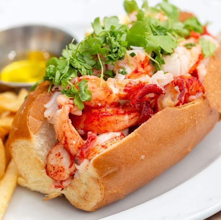 Closeup of lobster roll on white plate garnished with cilantro